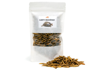 Black soldier fly larvae 250 ml